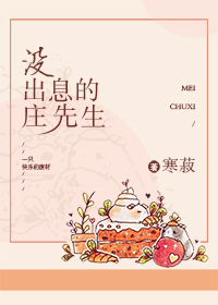 The Useless Mr. Zhuang novel book cover